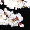 冬青的头像