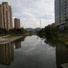 阿国的头像