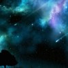 流星雨的头像