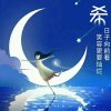 水中月醉乐韵的头像