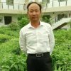 爱拼才会赢的头像