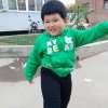 飞的头像
