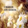 小雨的头像
