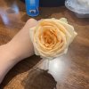 詹玲珊的头像