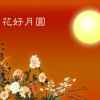 自由飞翔的头像