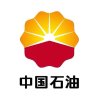 A姜夺的头像