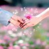 芬的头像