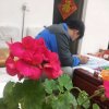 泠漠的头像