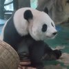〖文绉绉〗的头像