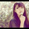 向阳的头像