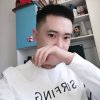 春风的头像