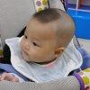 林中鸟的头像