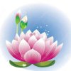 莲花仙子的头像