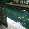 ~￣虫児飞.灬 的头像