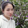 a刘丽霞 的头像