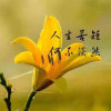 渚寒烟淡的头像