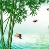 皇家♚一族绿竹的头像
