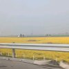 高速公路的头像