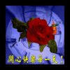 幸福的女人  的头像