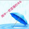 雨中的伞的头像