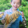 huo.Quan.liu的头像