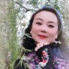 秀子(忙，回复晚请谅解)的头像