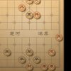 君哥的头像