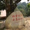 海哥的头像