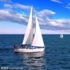 行云流水的头像