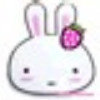 Rabbit的头像