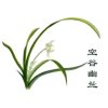 空谷幽兰的头像