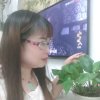 玲玲的头像