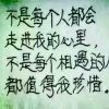 我心向杨的头像