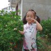 倩倩妈的头像