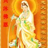 ♛八方家私♛的头像