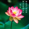 知足常乐的头像