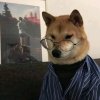 养一只笨狗的头像