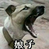 亮剑的头像