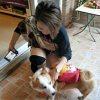 叶子的头像
