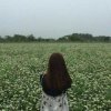 hui的头像