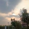 兰花草的头像