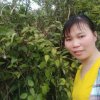 想飛の魚的头像