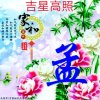 吉星高照的头像