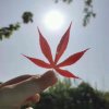 小幸运，拒绝私信的头像