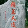 看不见旳风景的头像