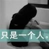 飞得更高的头像