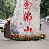 Wind*^_^*(暂离)的头像
