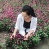 踏浪的头像