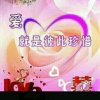 开心红玫瑰的头像