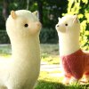 静默@的头像